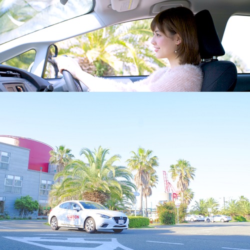 リエゾンドライビングスクールのコース