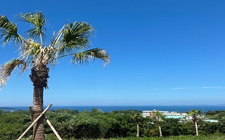 マキオドライビングスクールの宿舎からの景色