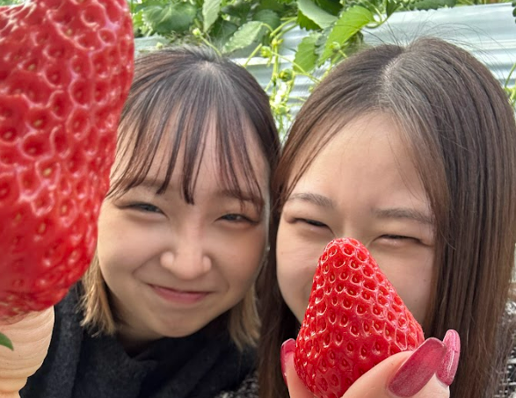 陸前高田ドライビングスクールの合宿免許の様子