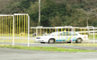 豊の里自動車学校の教習車